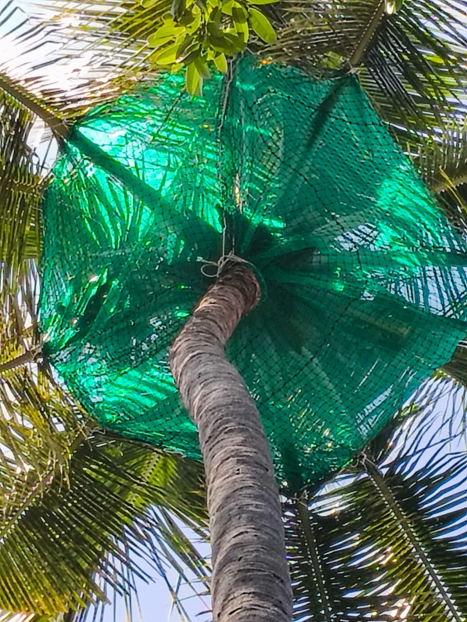 Our Team